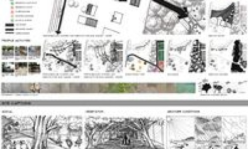 儿童滴硫酸阿托品滴眼液的副作用专区_阿托品一旦用了就不能停吗专区_阿托品滴眼液的副作用网